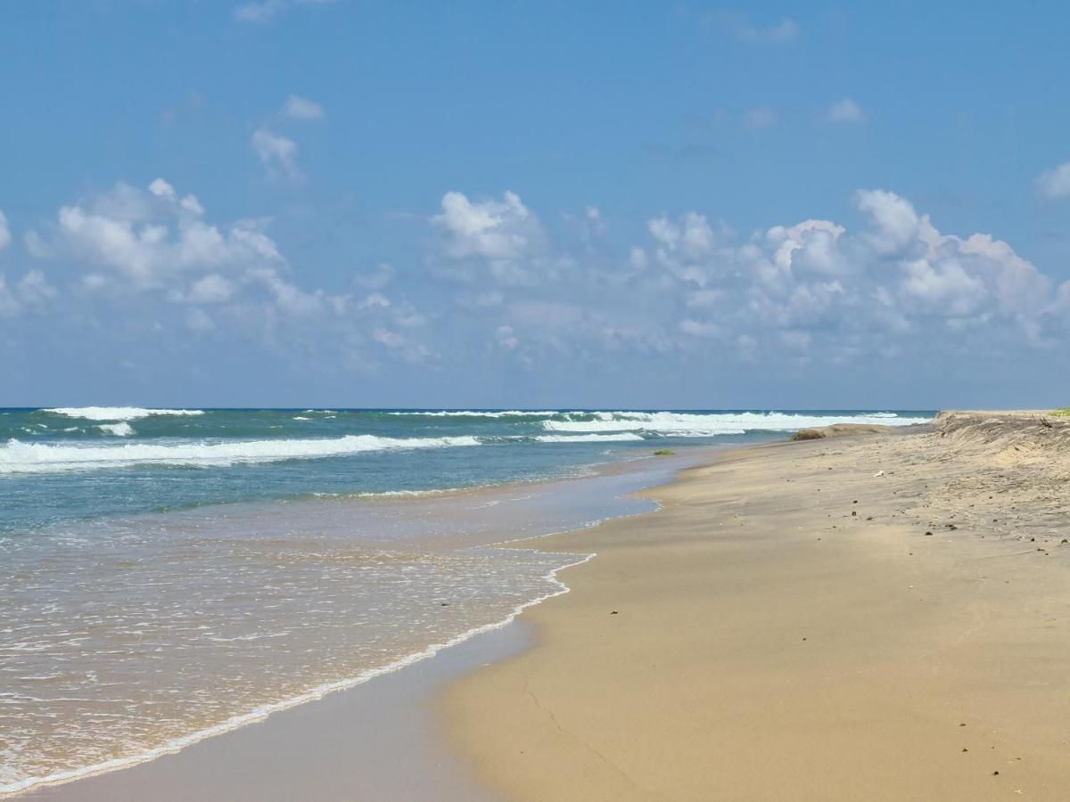 Ocean Vibe Ξενοδοχείο Arugam Bay Εξωτερικό φωτογραφία