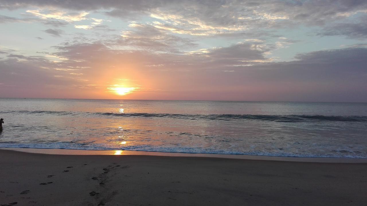 Ocean Vibe Ξενοδοχείο Arugam Bay Εξωτερικό φωτογραφία